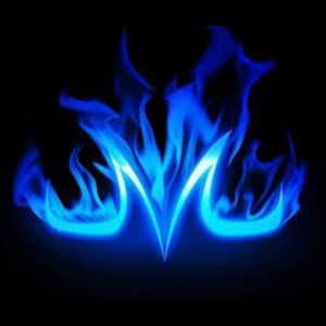 Meet your Posher, Fred